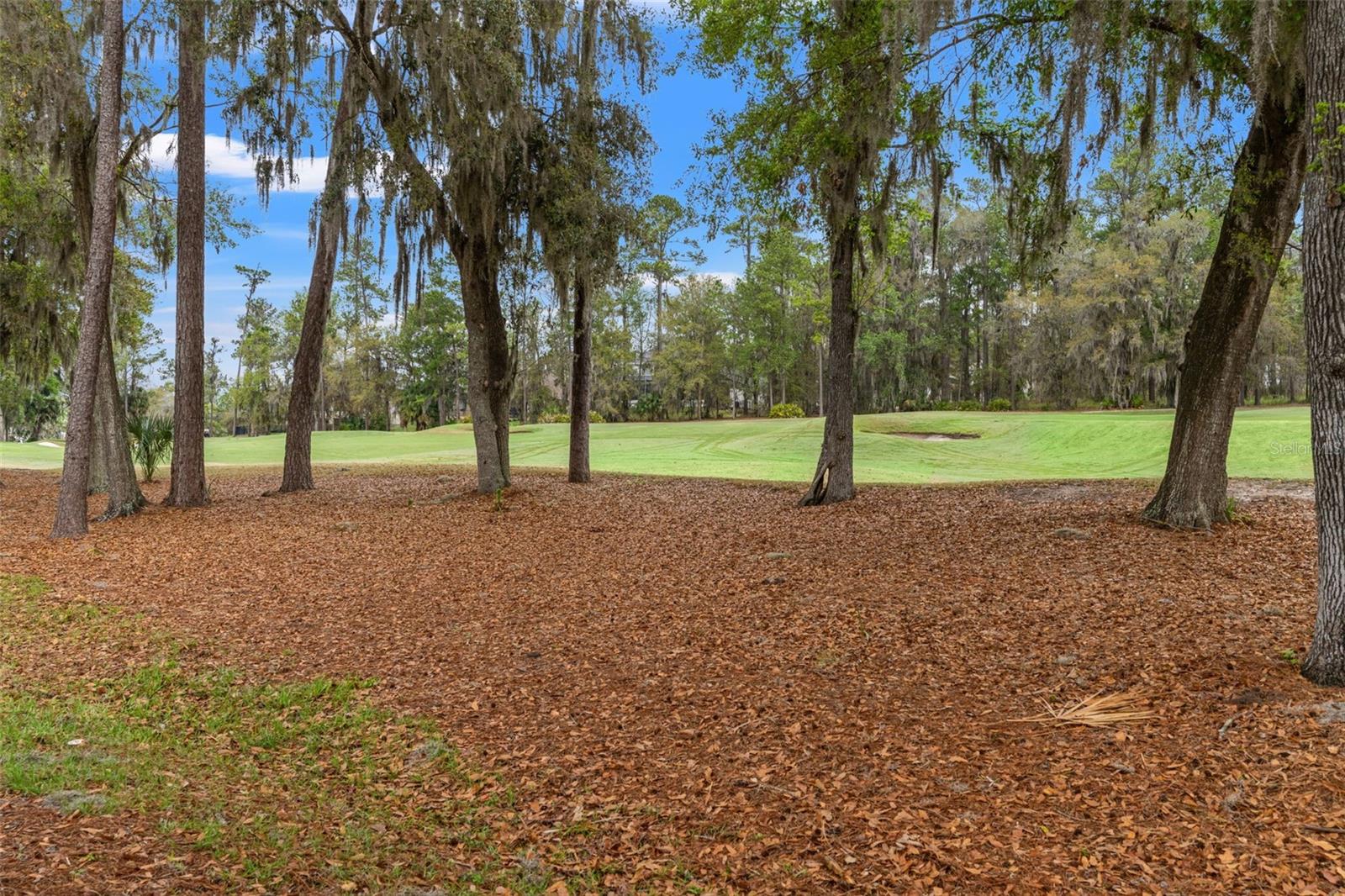 SOUTHERN HILLS PLANTATION PH 1 - Residential