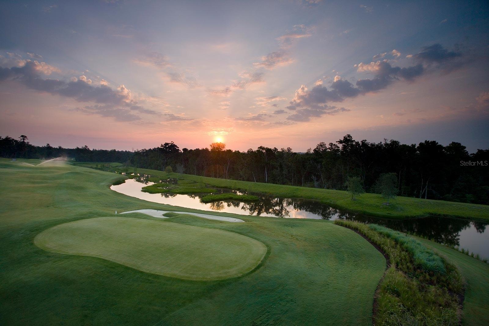 19571 LILY POND COURT