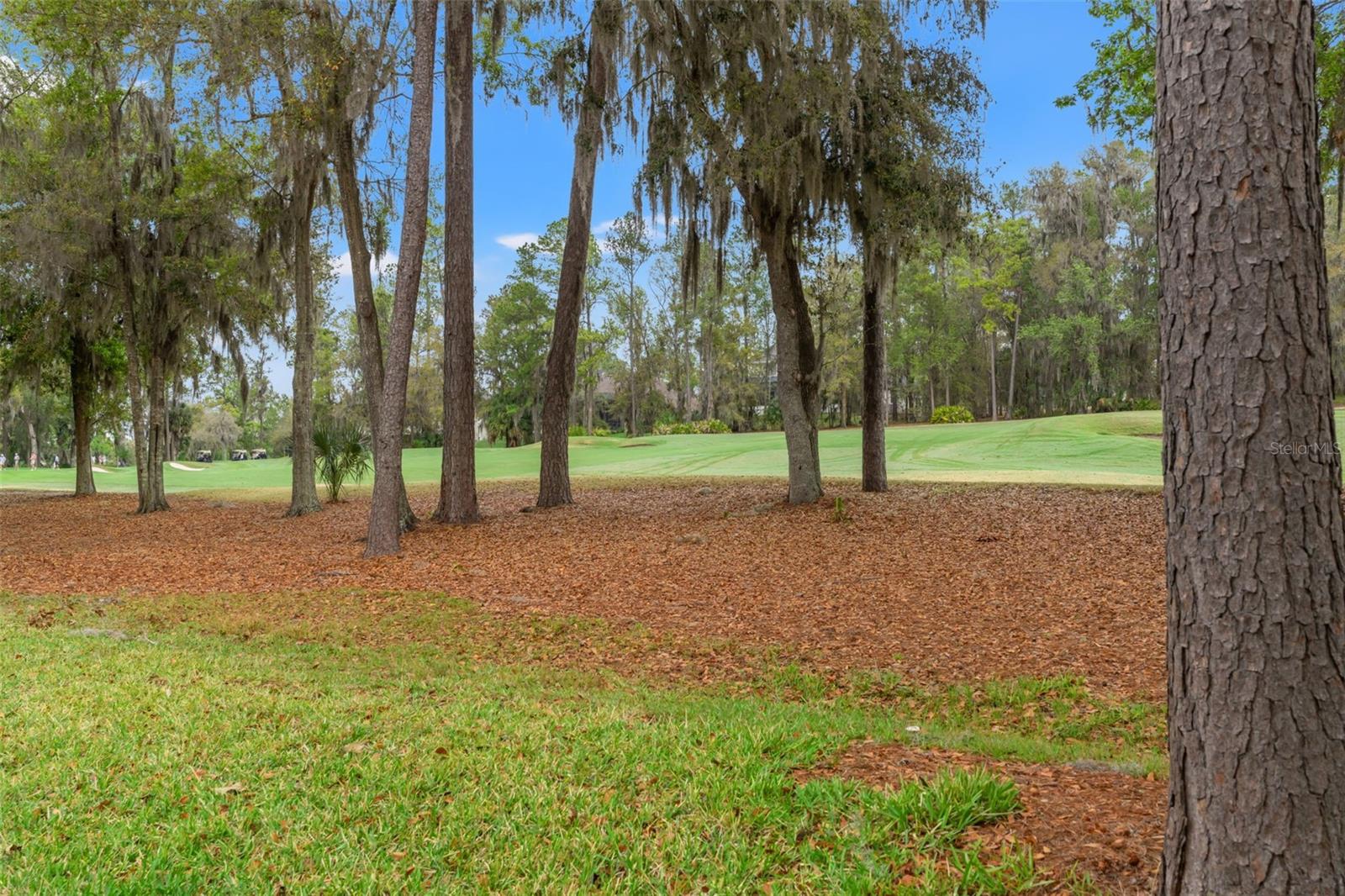 SOUTHERN HILLS PLANTATION PH 1 - Residential