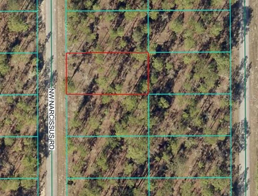 Build your dream home on this beautiful .23-acre wooded lot located in a peaceful rural area of Dunnellon, FL. Nestled among mature trees, this property offers a natural setting perfect for a custom home with a garden and outdoor living space. Zoned R1, this parcel allows for residential development with room to spread out. This area offers convenient access to fishing, kayaking, and nature exploration. Nearby you’ll also find hiking trails, picnic areas, and local shops and restaurants just a short drive away. Whether you’re looking to build now or invest for the future, this lot provides flexibility and long-term value. No HOA and easy access to area amenities. Drive by and take a look! This could be the homesite you’ve been waiting for. Seller has multiple properties for sale in the area including another one right on this street. See listings OM714942, OM714950, OM714960 & OM714962.