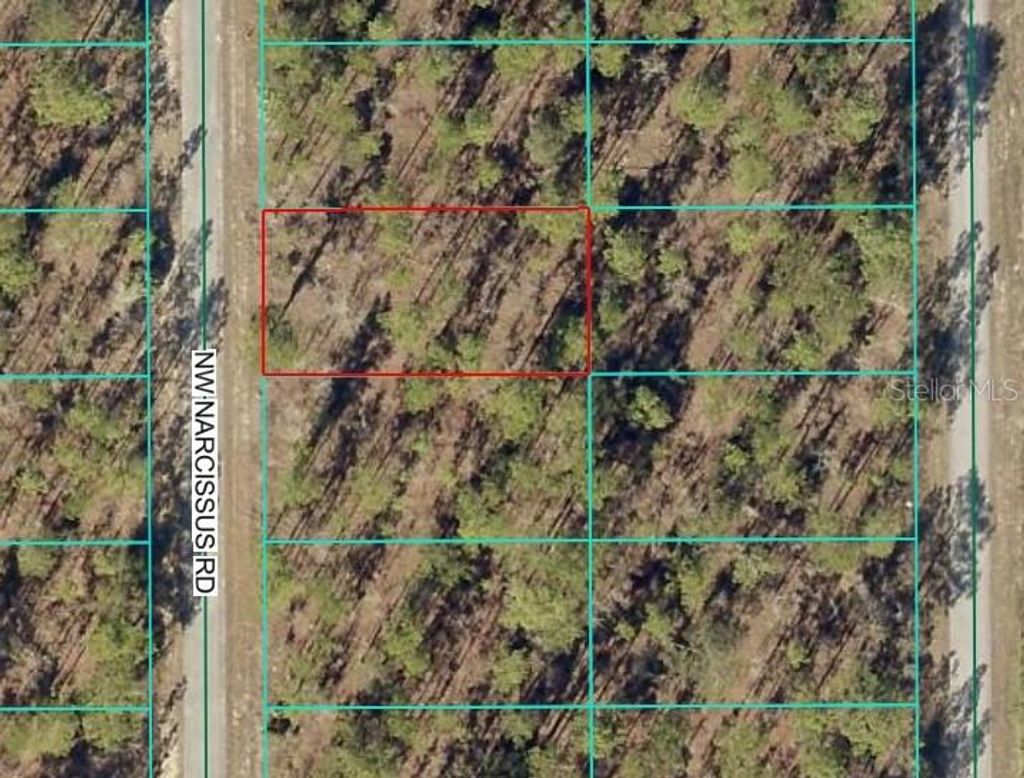 Photo of 1 NW Narcissus Road, Dunnellon, FL 34431 (MLS # OM714946)