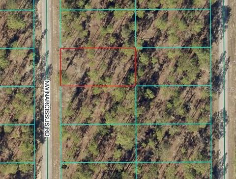 TBD1 NW NARCISSUS ROAD DUNNELLON FL 34431
