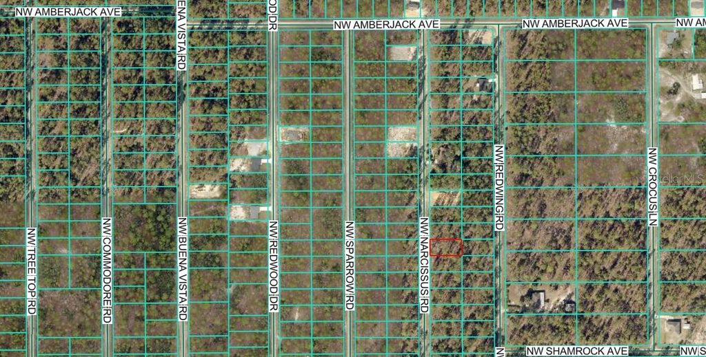Photo of 1 NW Narcissus Road, Dunnellon, FL 34431 (MLS # OM714946)