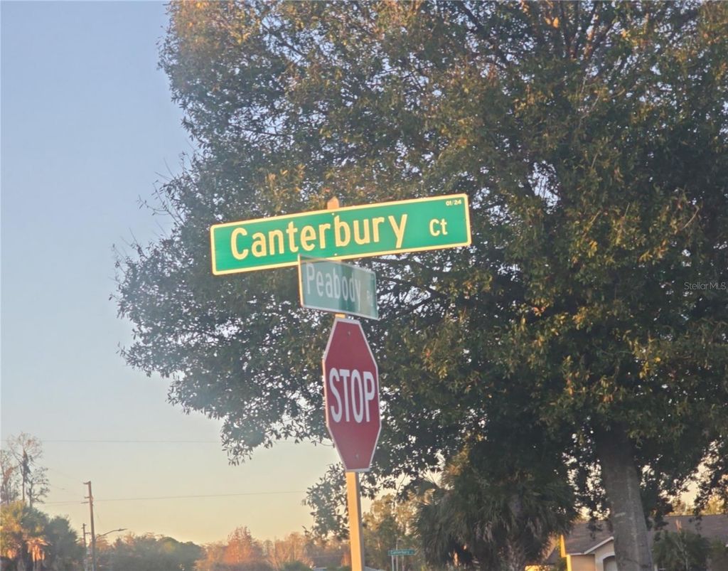 Photo of 230 Canterbury Court, Kissimmee, FL 34758 (MLS # S5144615)