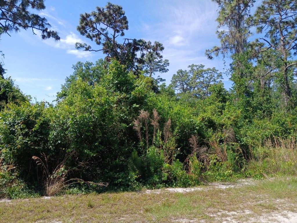 Photo of 2810 Ixora Drive, Indian Lake Estates, FL 33855 (MLS # TB8348220)