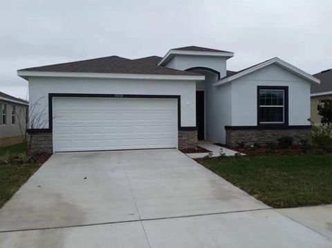 13372 GOLDEN LIME AVENUE SPRING HILL FL 34609