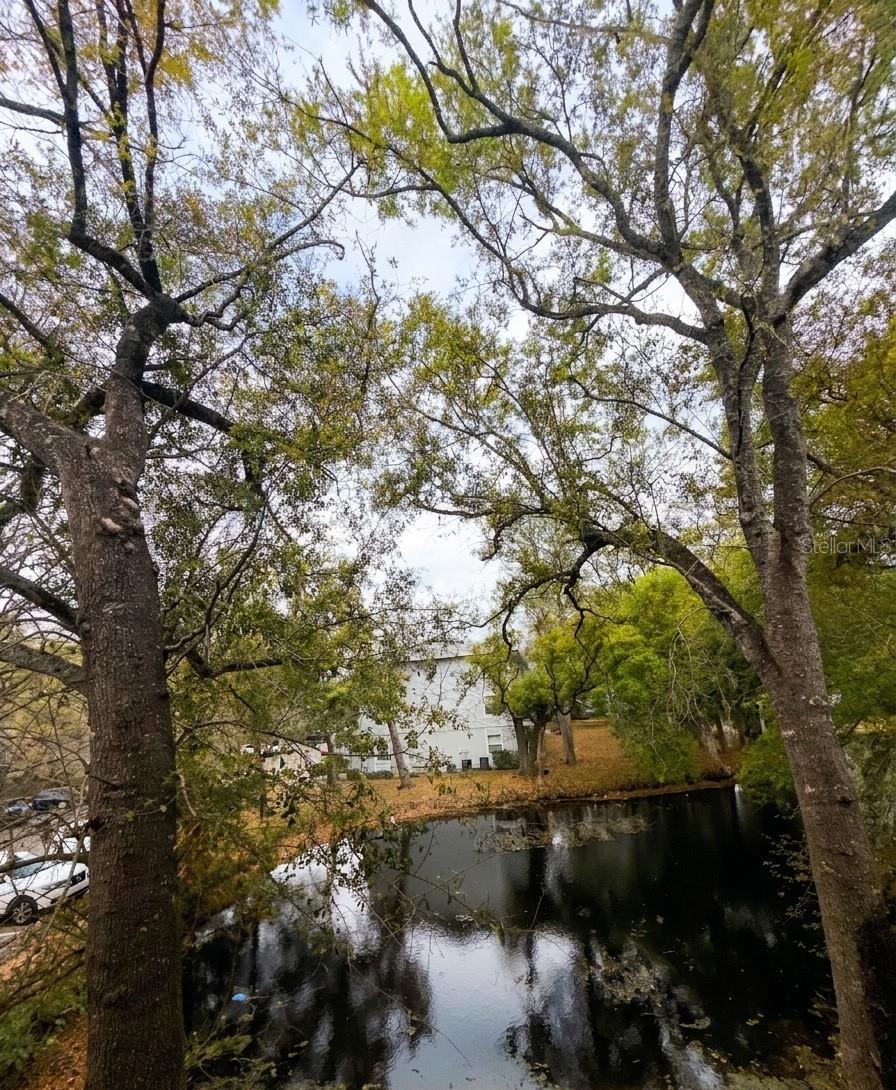 WATERSIDE CONDO I - Residential