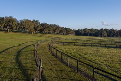 Tiny photo for 9504 NW Hwy 320, Micanopy, FL 32667 (MLS # OM725789)