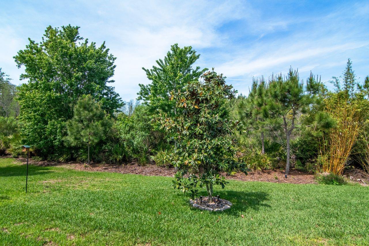 ESTANCIA PH 2A - Residential