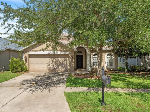 A home in LAND O LAKES