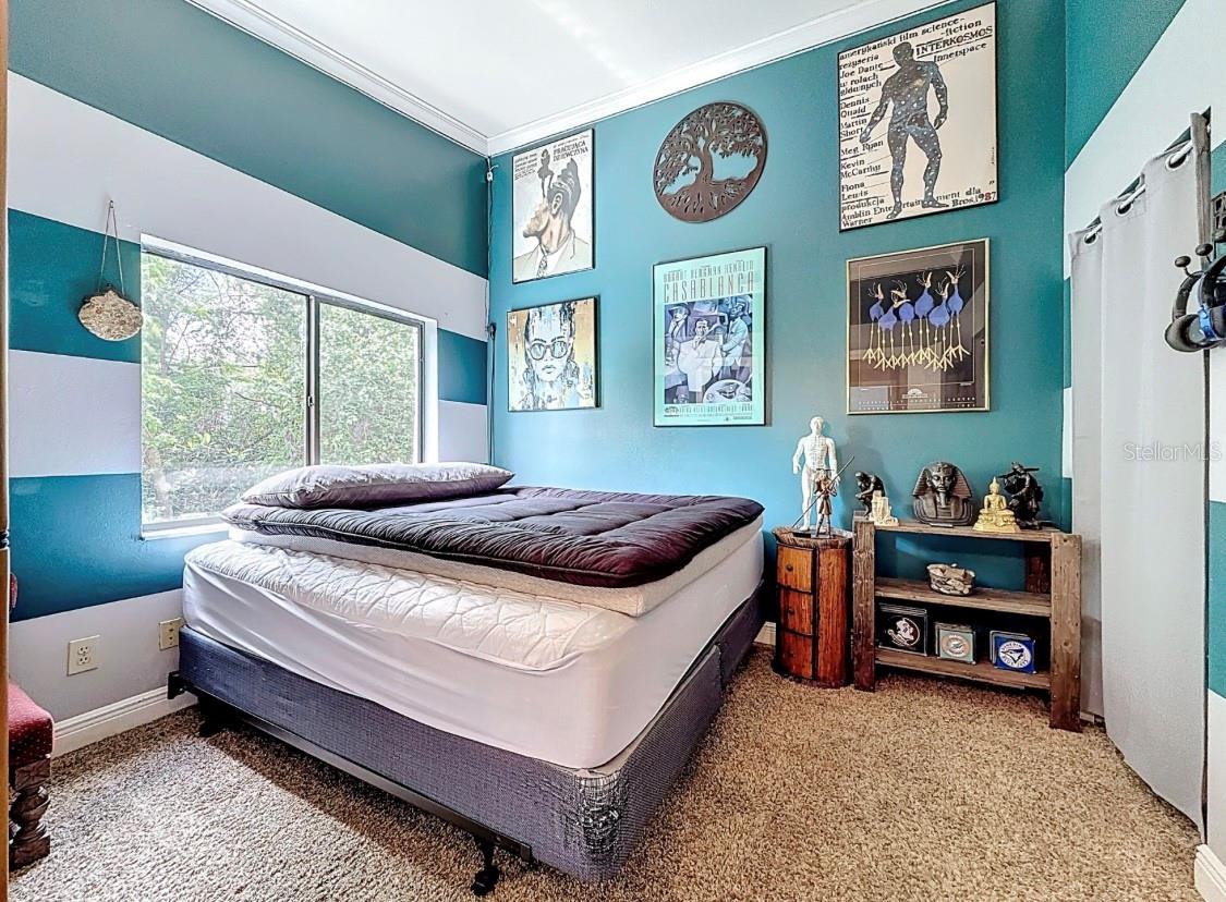 TOWNHOMES OF COUNTRYSIDE - Residential