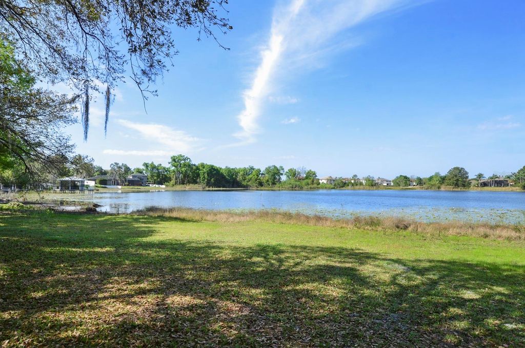 Photo of 3636 Lake Buynak Road, Windermere, FL 34786 (MLS # O6403466)