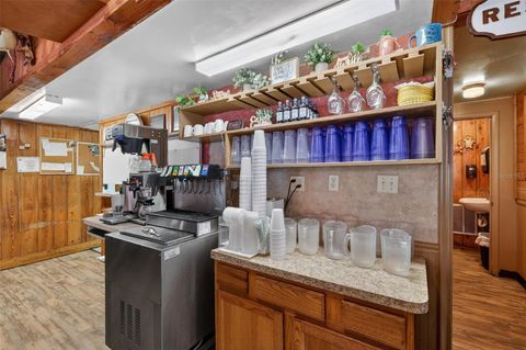 Tiny photo for Lake Panasoffkee, FL 33538 (MLS # G5106723)