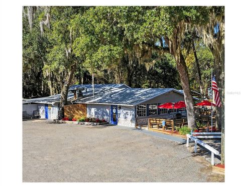Tiny photo for Lake Panasoffkee, FL 33538 (MLS # G5106723)