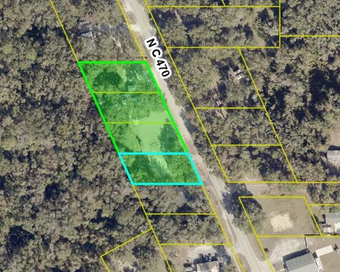 Tiny photo for Lake Panasoffkee, FL 33538 (MLS # G5106723)