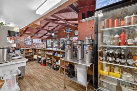 Tiny photo for Lake Panasoffkee, FL 33538 (MLS # G5106723)