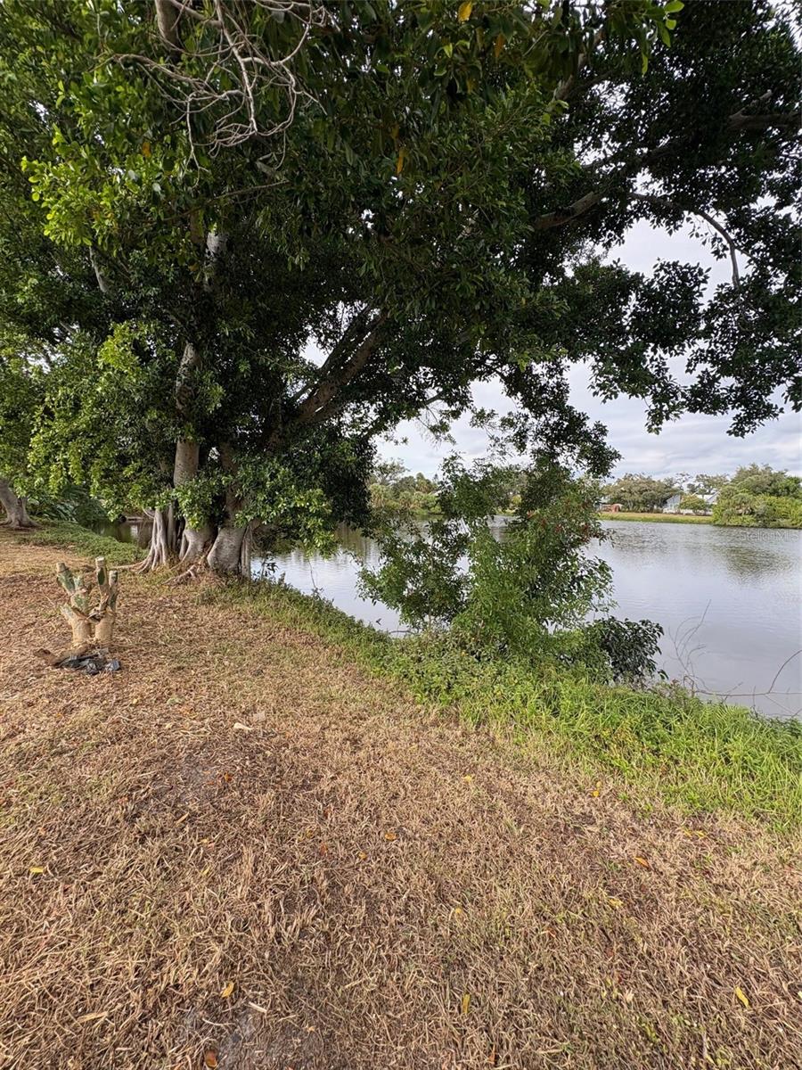 SOUTH VENICE - Residential