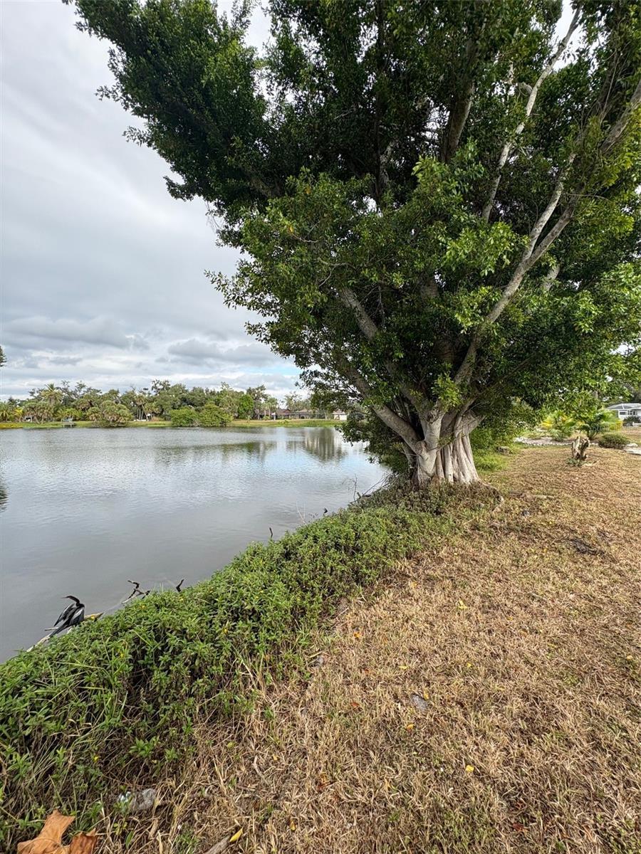 SOUTH VENICE - Residential