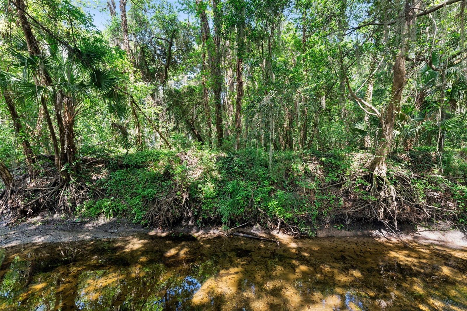 SPRING OAKS UNIT 5 - Residential