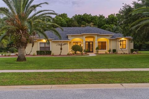 Photo of 744 Barrows Dairy Road, Port Orange, FL 32127 (MLS # O6402059)