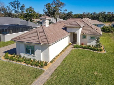 A home in PALM COAST