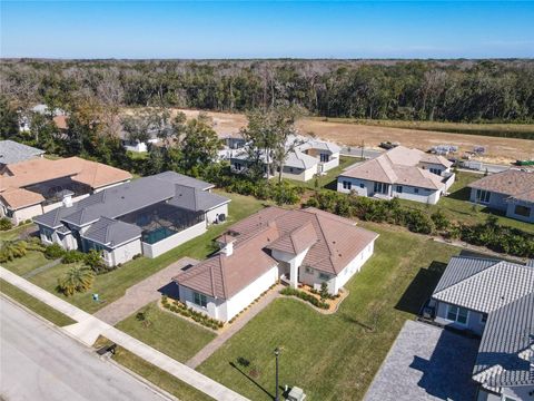 A home in PALM COAST