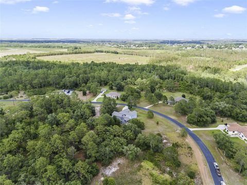 Tiny photo for 2001 Oak Scrub Trail, Clermont, FL 34714 (MLS # O6376830)