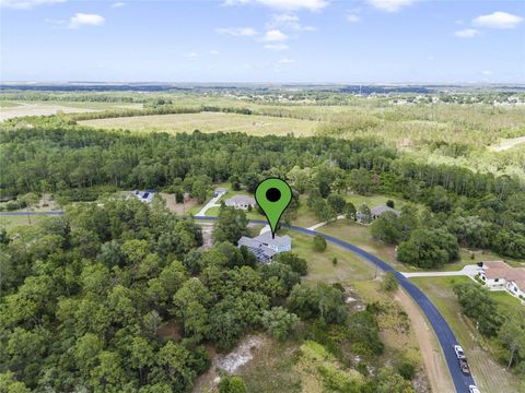 Tiny photo for 2001 Oak Scrub Trail, Clermont, FL 34714 (MLS # O6376830)