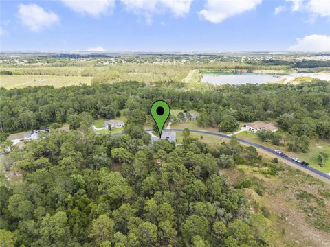 Tiny photo for 2001 Oak Scrub Trail, Clermont, FL 34714 (MLS # O6376830)