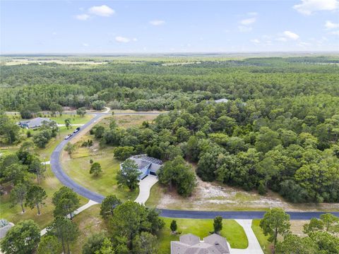 Tiny photo for 2001 Oak Scrub Trail, Clermont, FL 34714 (MLS # O6376830)