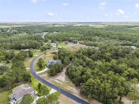 Tiny photo for 2001 Oak Scrub Trail, Clermont, FL 34714 (MLS # O6376830)