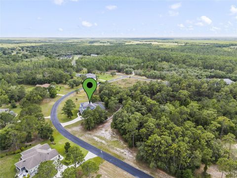 Tiny photo for 2001 Oak Scrub Trail, Clermont, FL 34714 (MLS # O6376830)