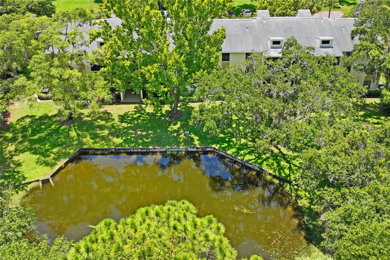 PINE RIDGE AT LAKE TARPON VILLAGE - Residential Lease