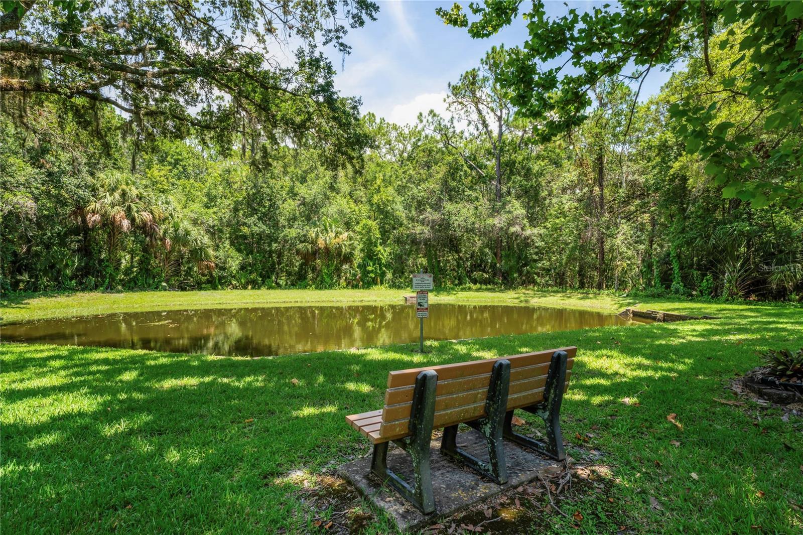 PINE RIDGE AT LAKE TARPON VILLAGE - Residential Lease