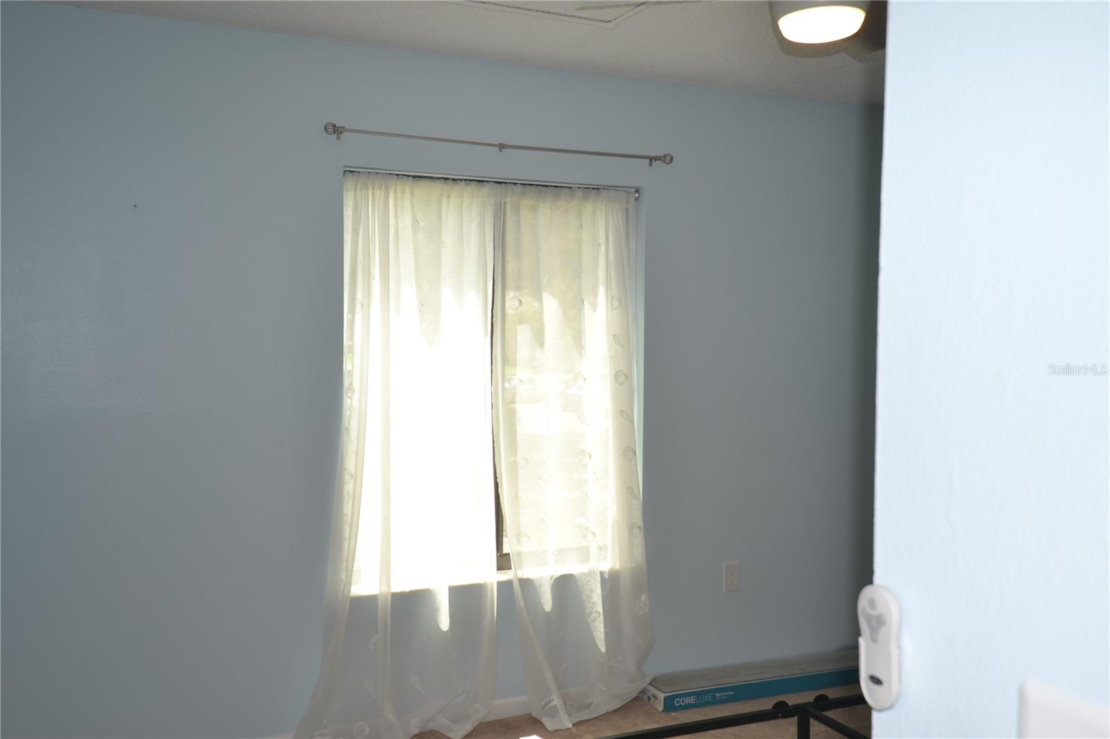 PINE RIDGE AT LAKE TARPON VILLAGE - Residential Lease