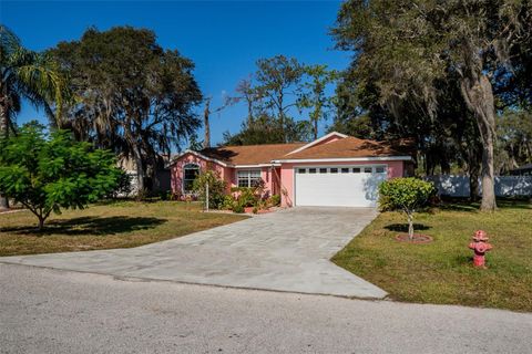 11315 LAKE DRIVE LEESBURG FL 34788