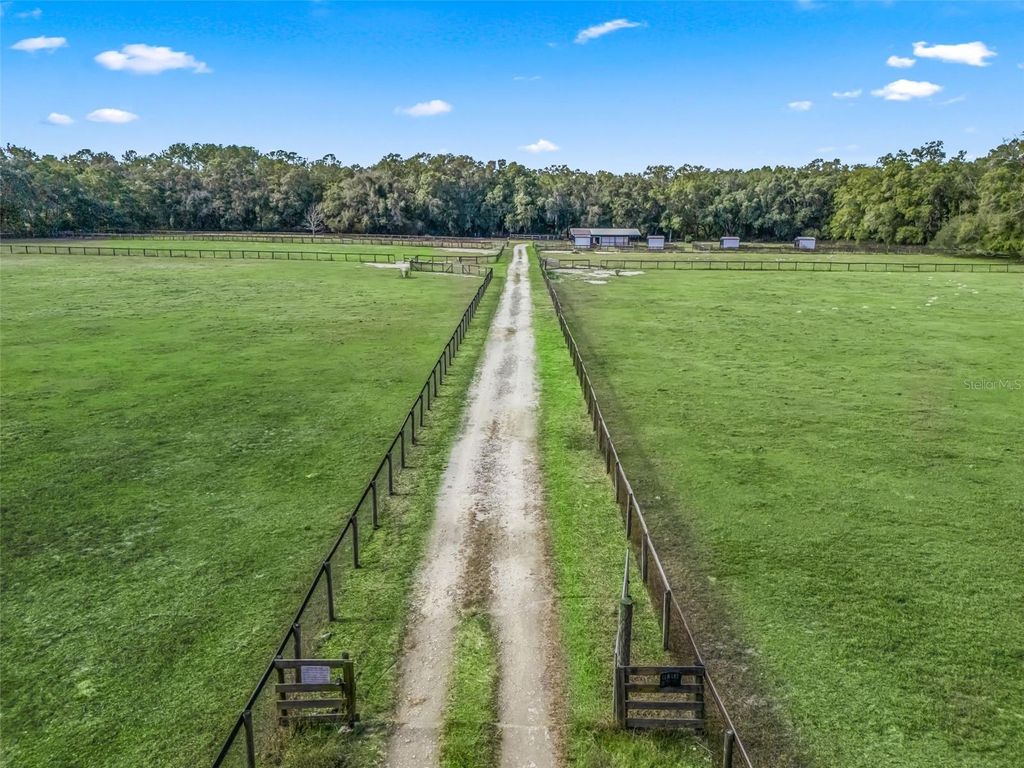 Photo of 950 NE 200th Avenue, Williston, FL 32696 (MLS # OM716550)