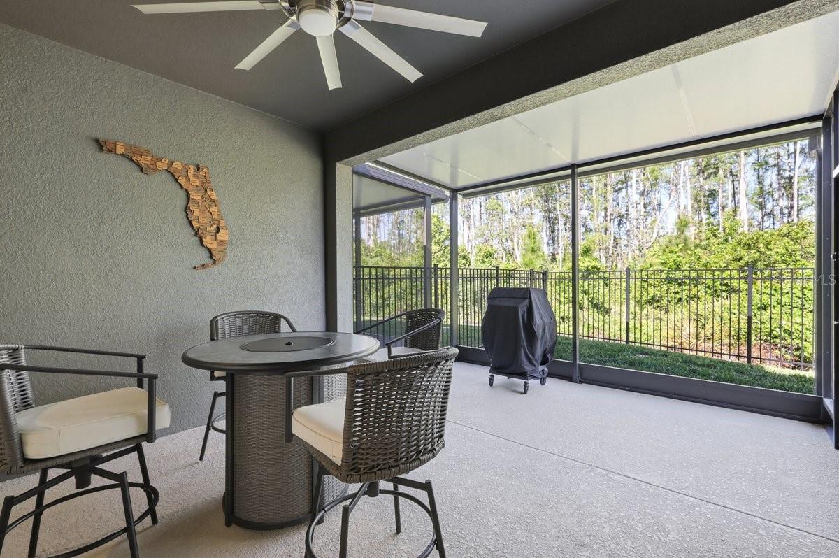 PALMS/SERENOA PH 4 - Residential