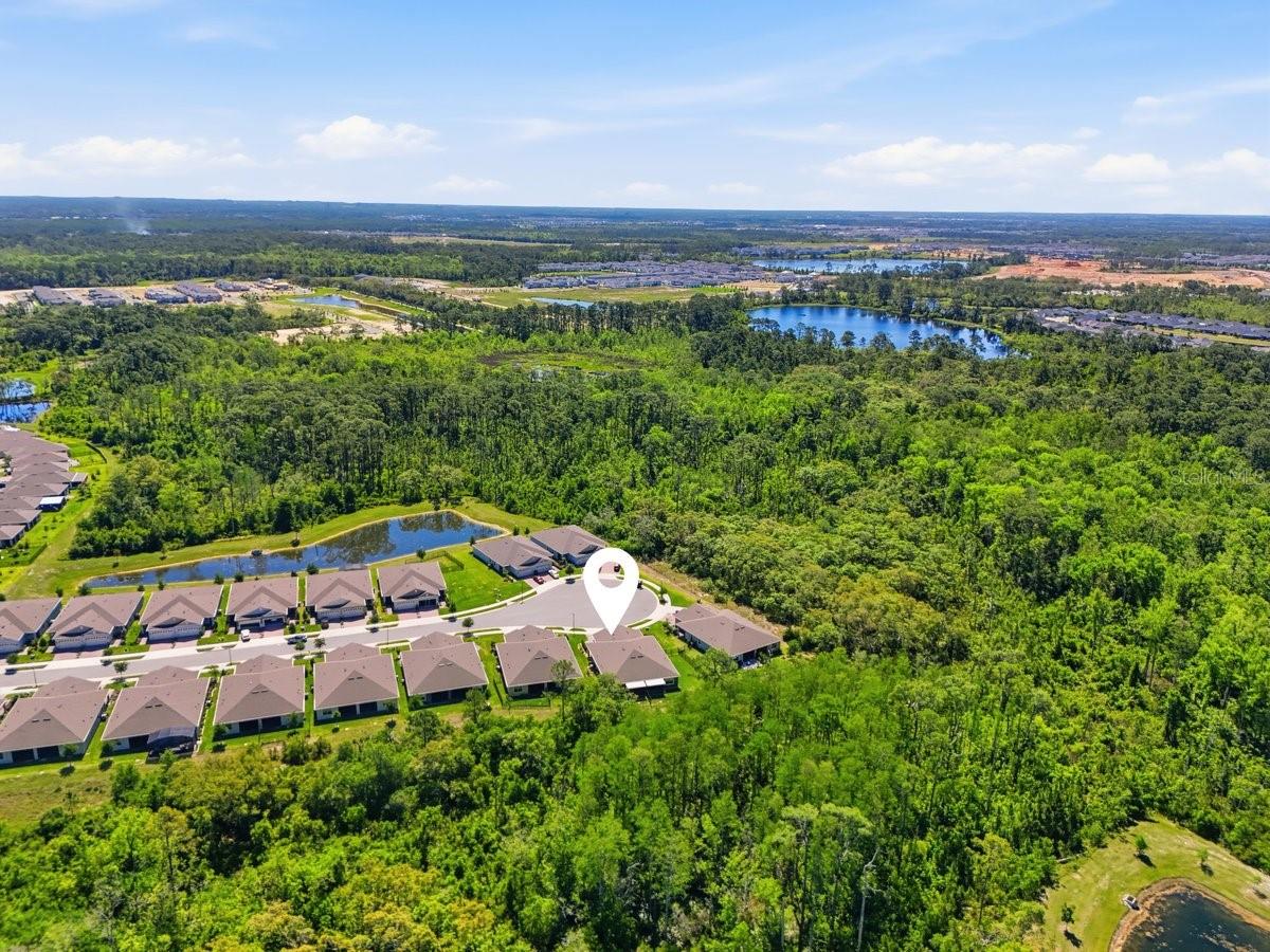 PALMS/SERENOA PH 4 - Residential