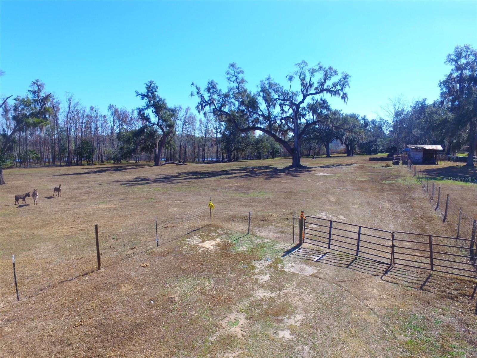 DADE CITY - Land