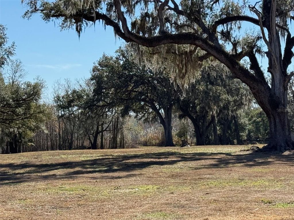 Photo of 37214 Hester Road, Dade City, FL 33525 (MLS # TB8498014)