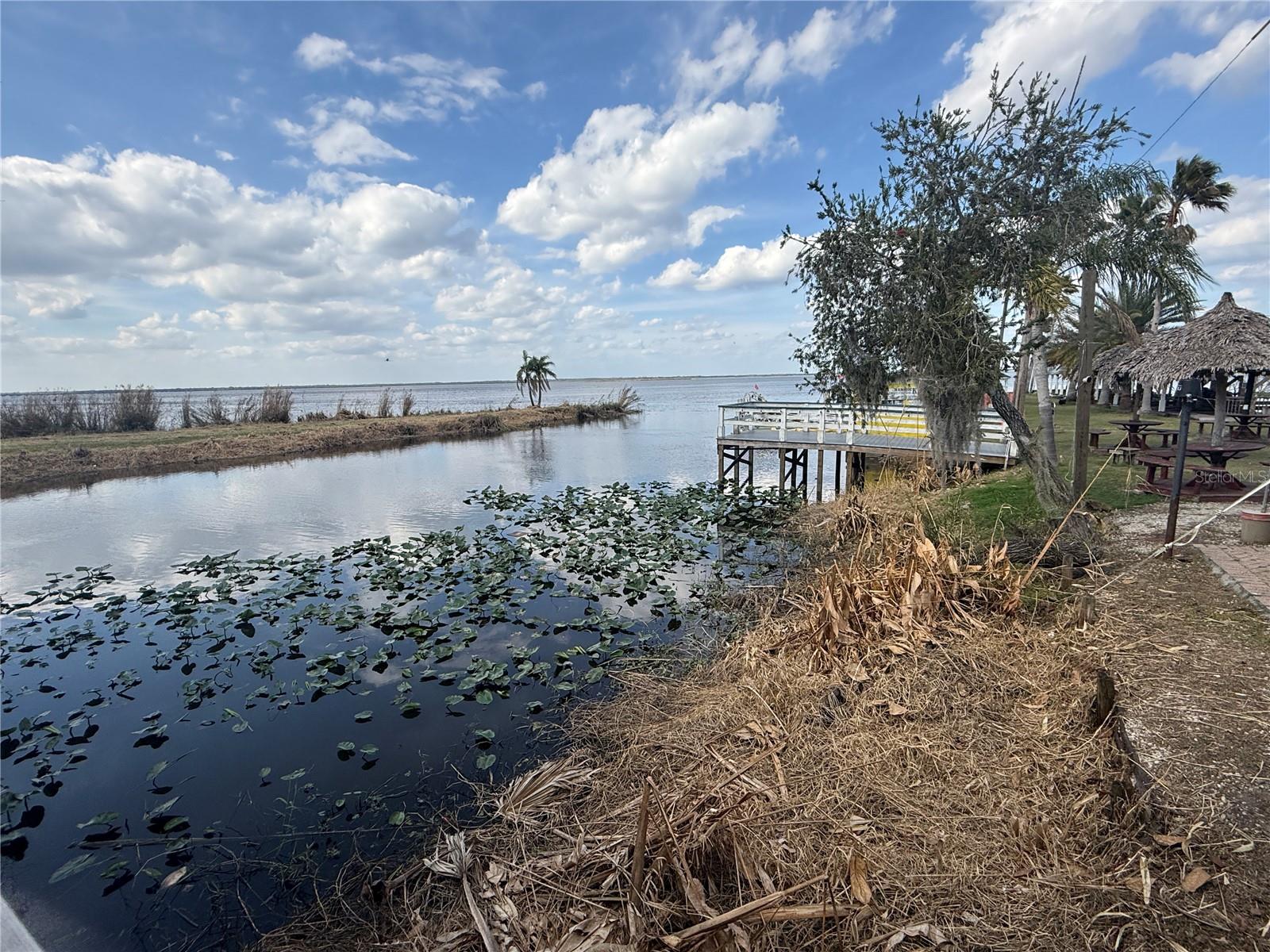 BLACK HAMMOCK - Land