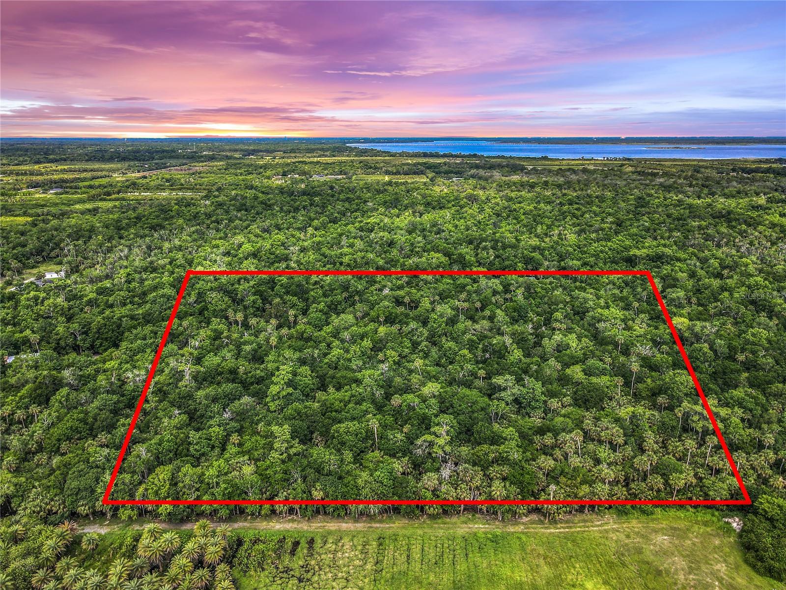 BLACK HAMMOCK - Land