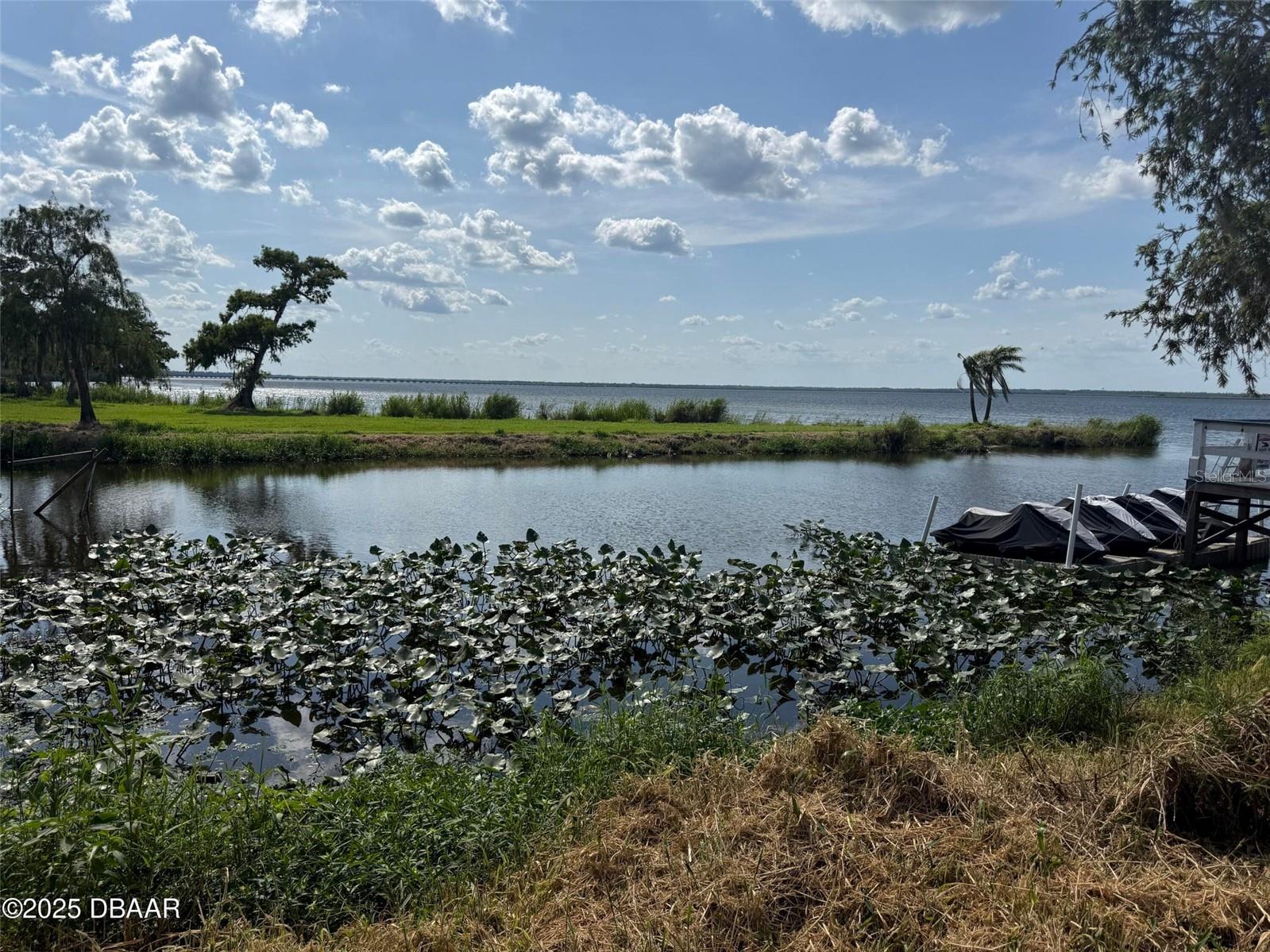 BLACK HAMMOCK - Land