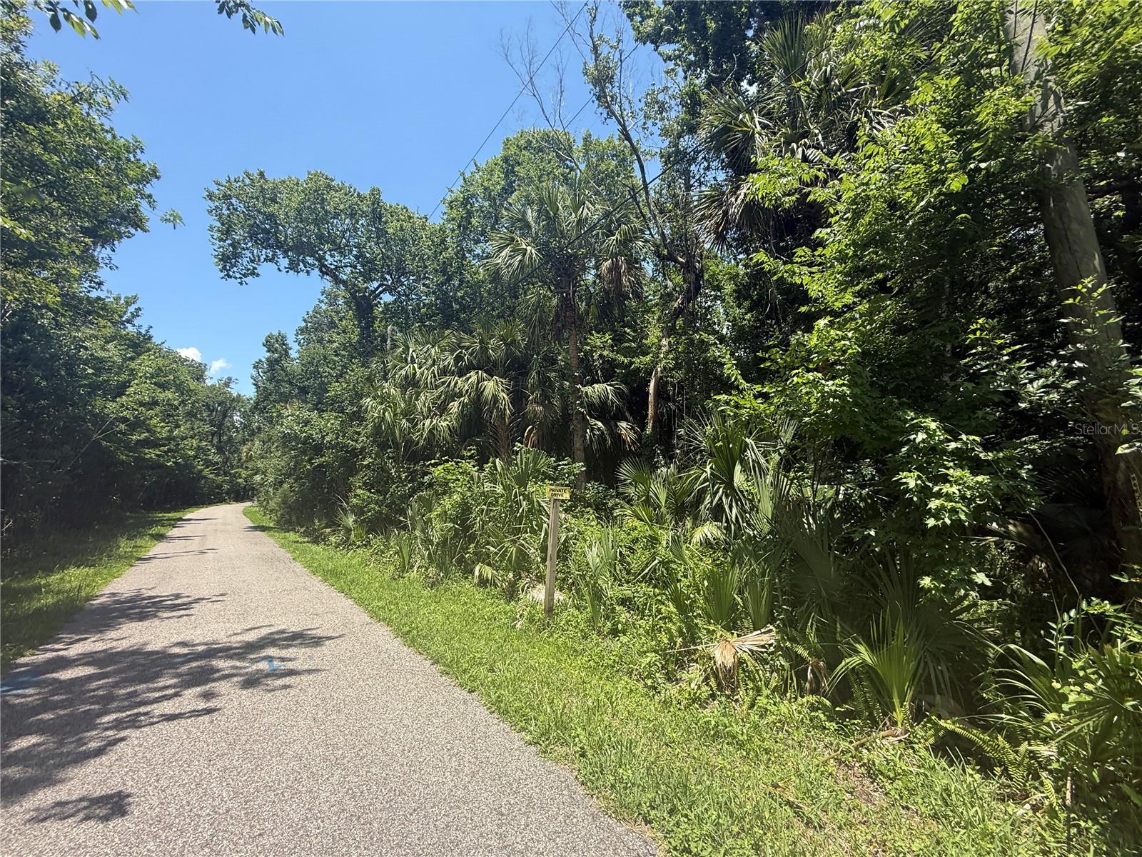 BLACK HAMMOCK - Land