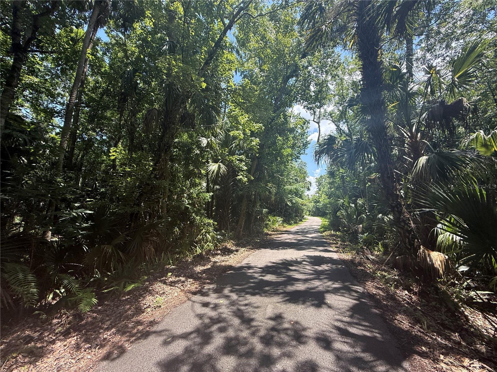 BLACK HAMMOCK - Land