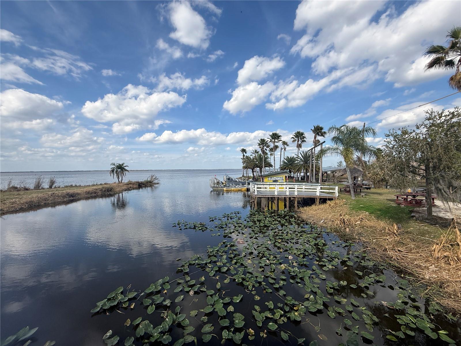 BLACK HAMMOCK - Land