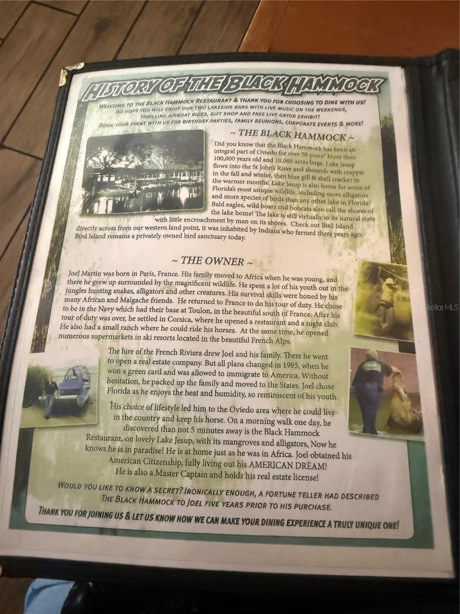 BLACK HAMMOCK - Land