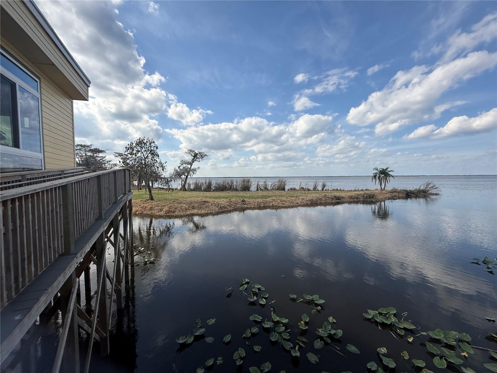 BLACK HAMMOCK - Land