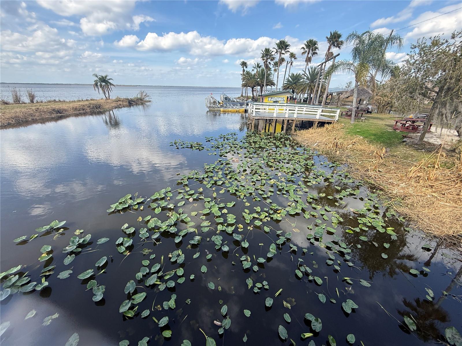 BLACK HAMMOCK - Land